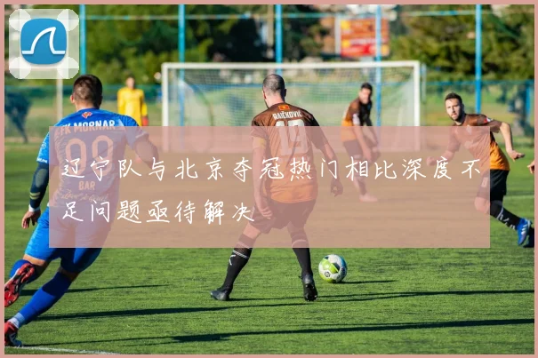辽宁队与北京夺冠热门相比深度不足问题亟待解决