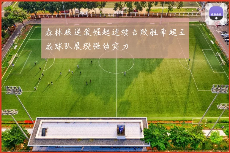 森林狼逆袭崛起连续击败胜率超五成球队展现强劲实力