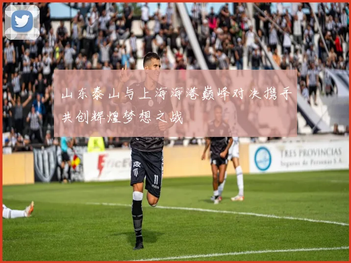 山东泰山与上海海港巅峰对决携手共创辉煌梦想之战